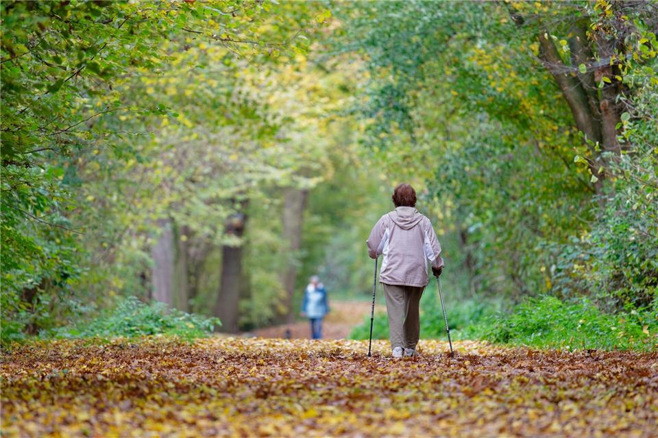 Sonne statt Schauer: Der Herbst meint es gut mit Baden-Württemberg. Also raus aus dem Haus!Uwe Anspach/dpa