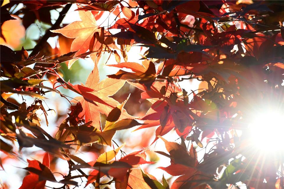 Sonne statt Schauer: Die neue Woche in NRW verspricht meist trockenes Wetter und steigende Temperaturen. (Archivbild)Caroline Seidel/dpa