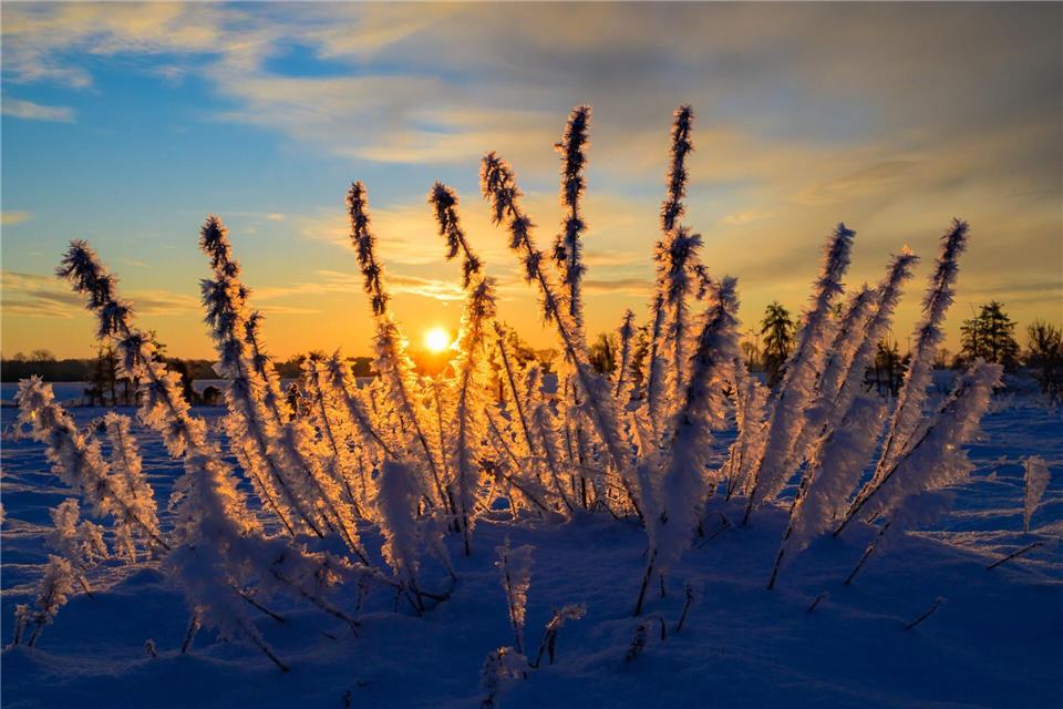 Sonne und kalte Luft erwarten die Meteorologen zum Wochenbeginn. (Archivbild)Patrick Pleul/dpa
