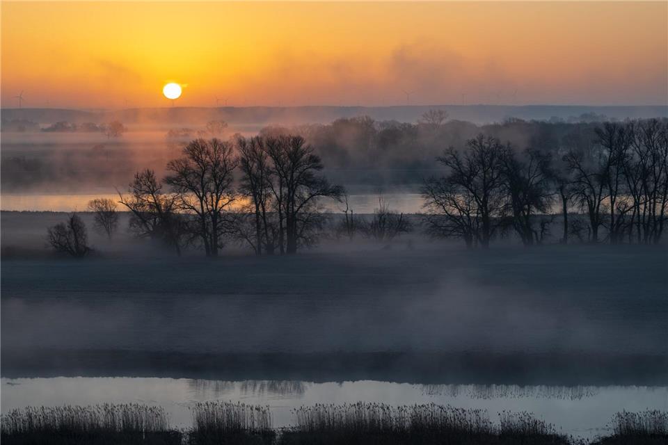 Sonnenaufgang im Nebel: Stimmungsvolle Morgenstimmung an der OderPatrick Pleul/dpa