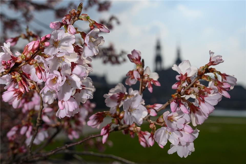 Sonnenschein dominiert die nächsten zwei Tage. (Archivbild)Robert Michael/dpa