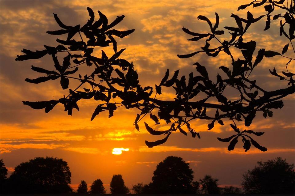 Sonnenuntergang Ende SeptemberPatrick Pleul/dpa