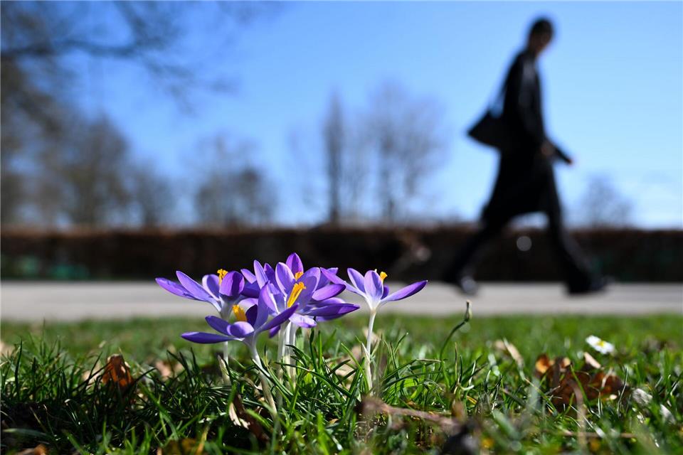 Sonnig und niederschlagsfrei lautet die Vorhersage für die nächsten Tage. (Archivbild)Florian Wiegand/dpa