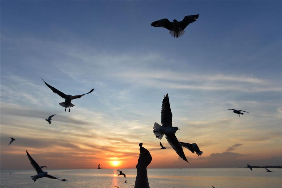 Sonnige Reiseziele sind laut Dertour besonders gefragt. (Archivbild)Rachen Sageamsak/XinHua/dpa