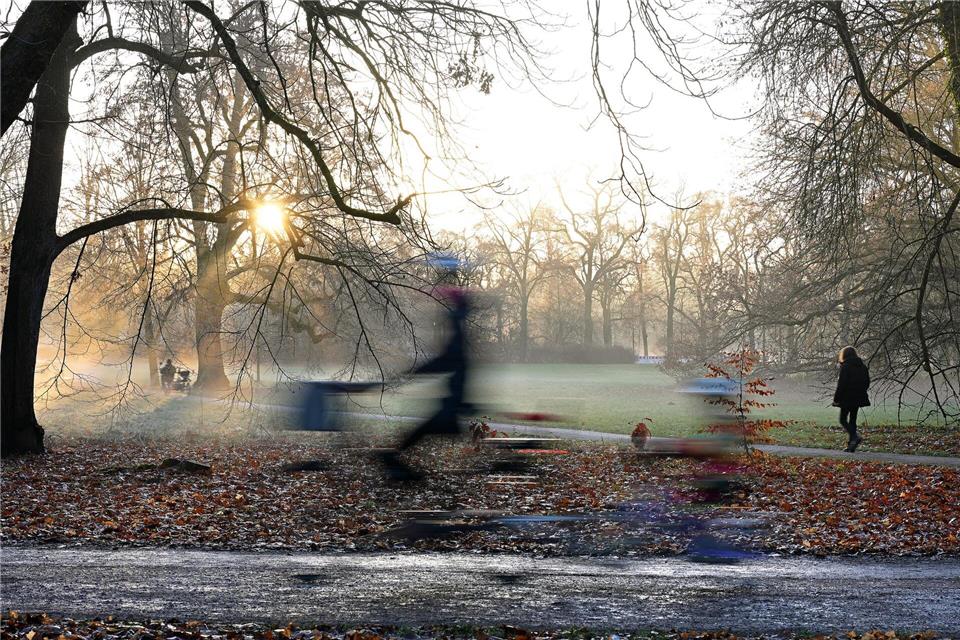 Sonniger Morgen in Leipzig: Radfahrer und Fußgänger sind am Morgen im Clara-Zetkin-Park unterwegsJennifer Brückner/dpa