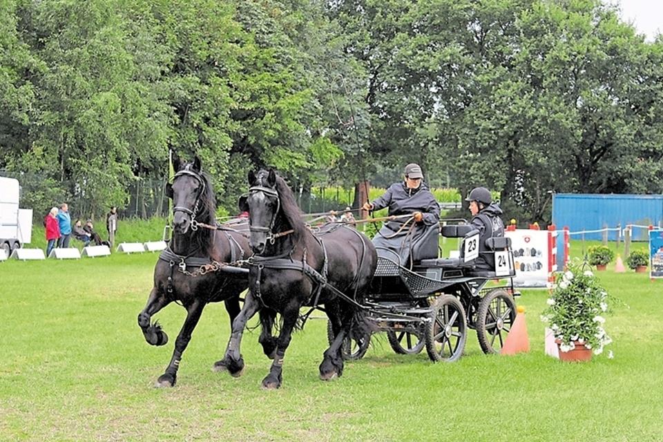 Sonntag ist Fahrertag: Die Fahrsportfreunde Ramsdorf erwarten dann wieder zahlreiche Gespanne und Zuschauer am Böllerbüsken.