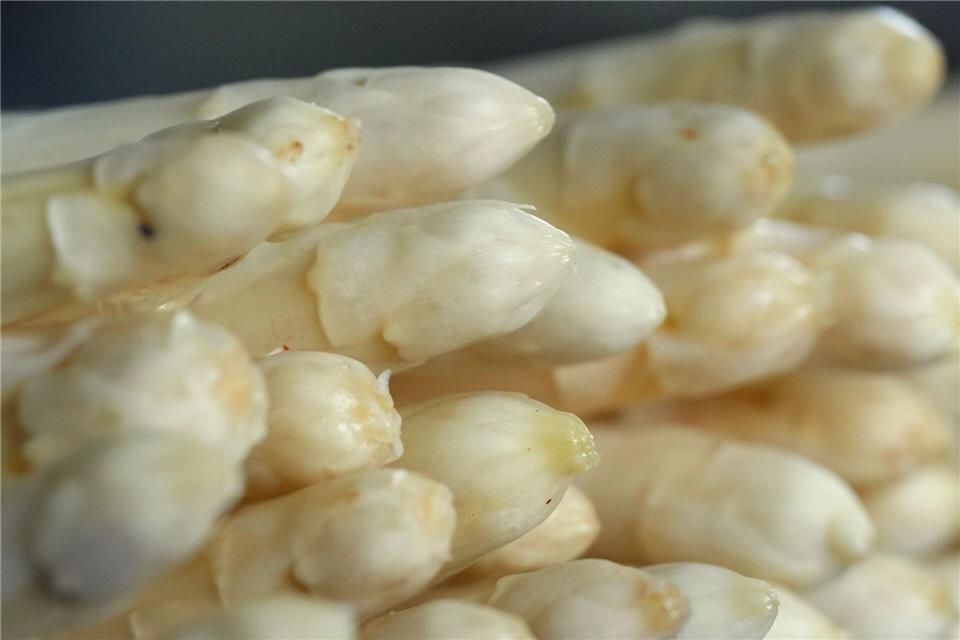 Spargel zu Ostern ist in Mecklenburg-Vorpommern noch eine Mangelware. (Symbolbild)Soeren Stache/dpa