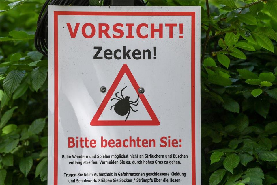 Spaziergänge in der Natur oder Gartenarbeit erhöhen das Risiko, von einem der Plagegeister gestochen zu werden. (Archiv)Jens Kalaene/dpa-Zentralbild/dpa