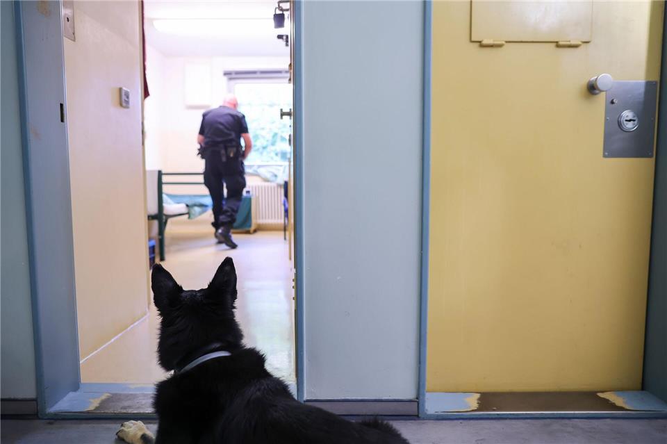 Spezielle ausgebildete Hunde unterstützen bei den Zellenkontrollen. (Archivbild)Jan Woitas/dpa