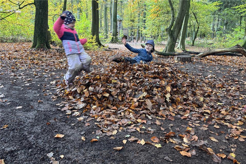 Spielen und Toben im herbstlichen Laub macht den Kinder der Kita „Waldwurm“ derzeit besonders viel Spaß.