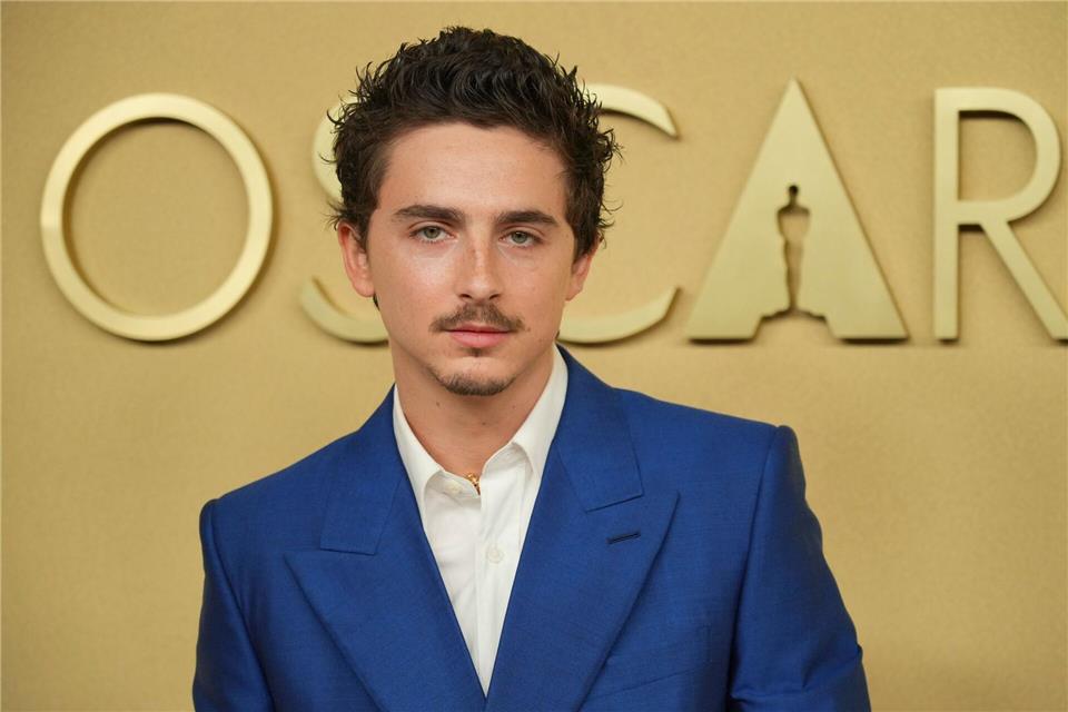 Spielt einen Tischtennisspieler mit Größenwahn: Timothée Chalamet. (Archivbild)Jordan Strauss/Invision/dpa