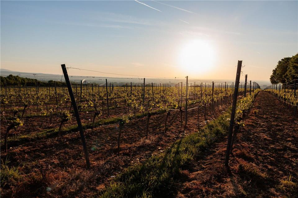 Sport und Erledigungen sollten in die Randzeiten verlegt werden. (Symbolbild)Jörg Halisch/dpa