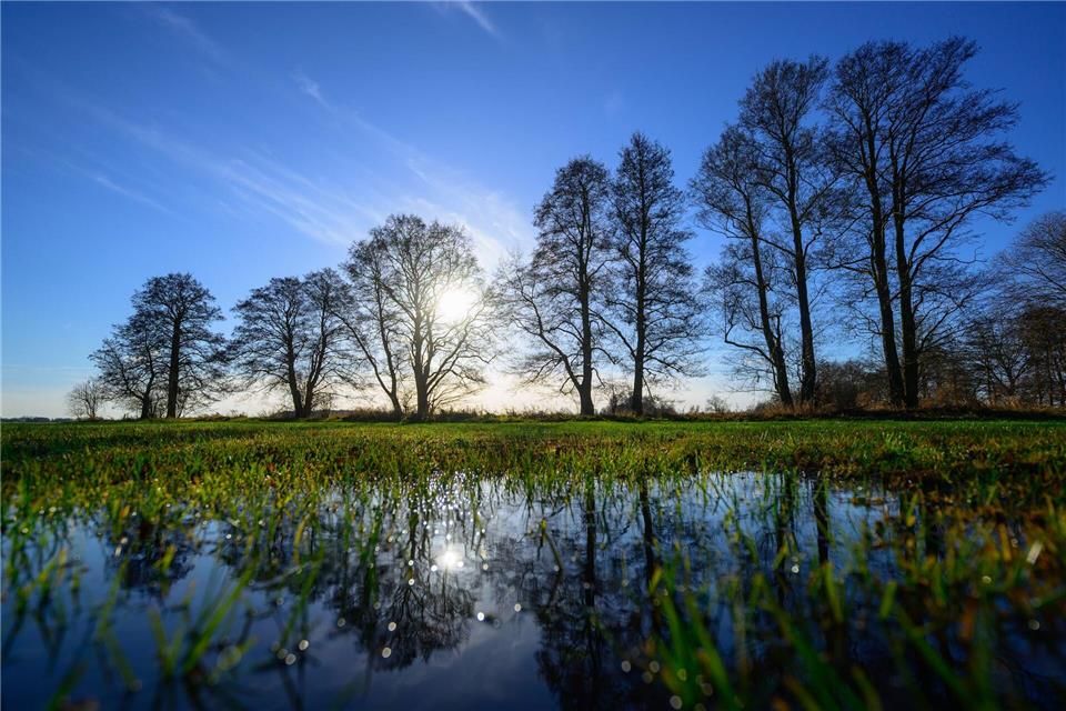 Spreewald: Kahle Bäume spiegeln sich auf überschwemmter Winterwiese.Patrick Pleul/dpa