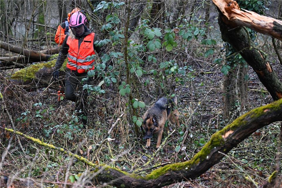Spürhund „Ella“ sucht nach einer Fährte.Arne Dedert/dpa