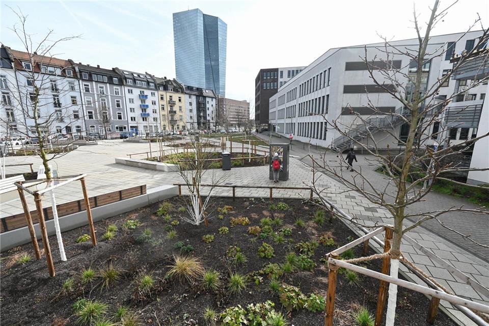 Städte investieren Milliarden Euro für das Klima. (Archivbild)Arne Dedert/dpa