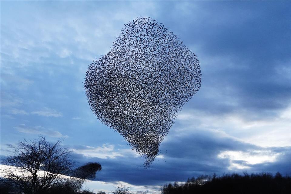 Stare am HimmelOwen Humphreys/PA Wire/dpa