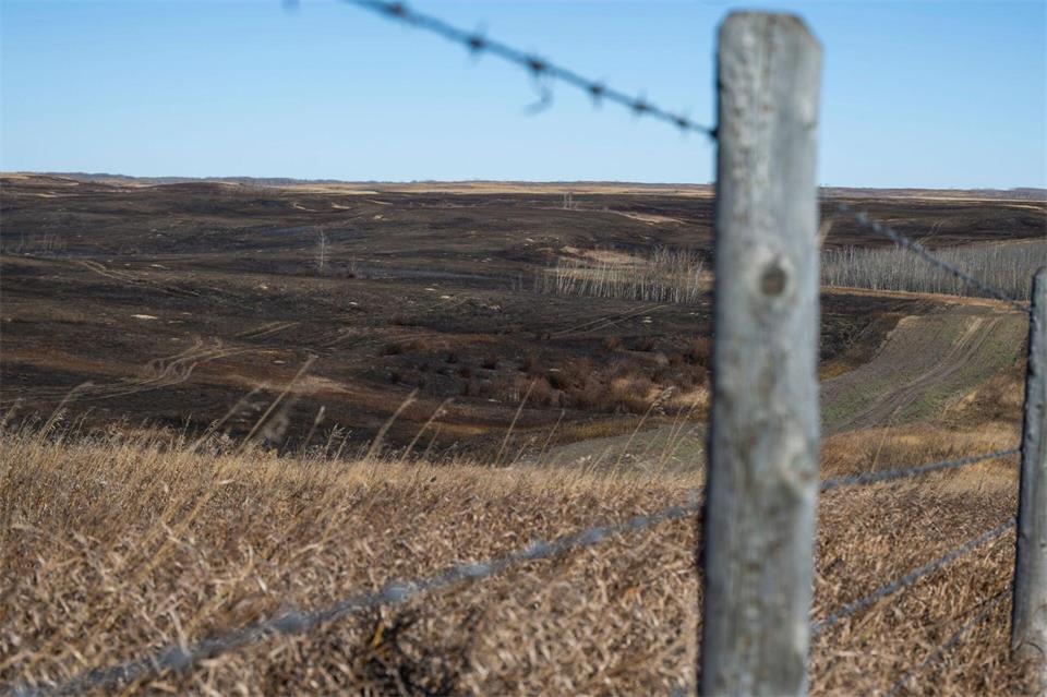 Starke Winde sollen ein Feuer auf dem Militärstützpunkt schnell vorangetrieben haben. John Ulan/The Canadian Press/AP/dpa