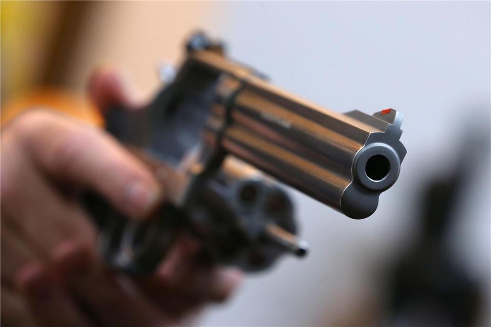 Statt Pilzen fand eine Familie im Norden von Sachsen-Anhalt einen Revolver. (Symbolbild)Karl-Josef Hildenbrand/dpa