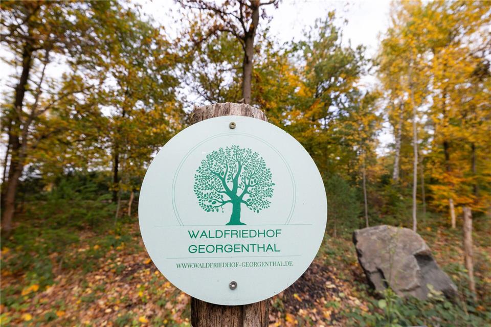 Nachfrage nach Waldbestattungen in Thüringen ungebrochen  Statt auf einem klassischen Friedhof möchten heutzutage viele Menschen in Wäldern zur letzten Ruhe gebettet werden.Michael Reichel/dpa