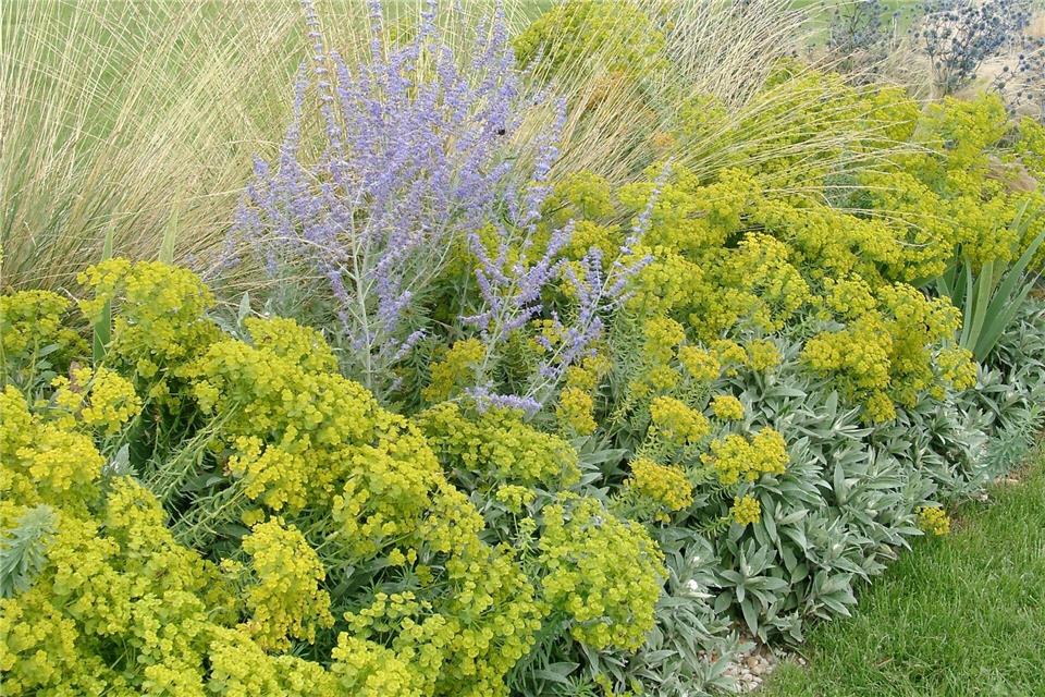 Staudenmischungen: Blütenvielfalt ohne starren Pflanzplan Staudenmischungen bringen Vielfalt und Dynamik in jeden Garten.Bettina Banse/GMH/dpa-tmn