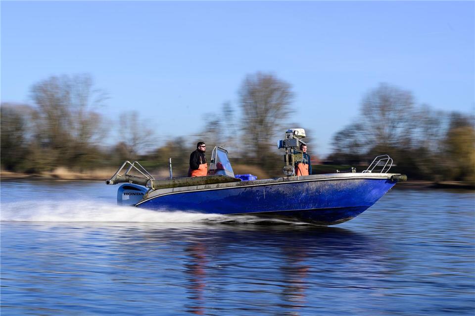Stintfang in der Elbe. Philipp Schulze/dpa