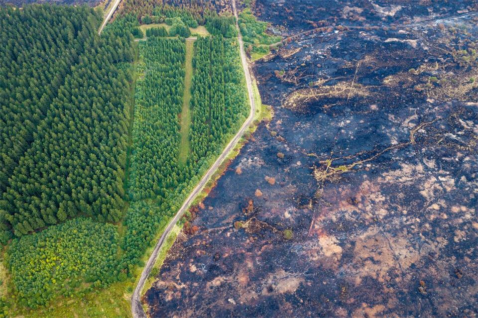 Straße trennt verkohlte Fläche von verschontem Wald im Hohen VennChristoph Reichwein/dpa