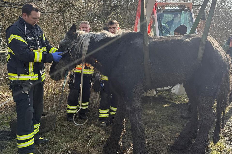 Streicheleinheiten nach der Rettung - Ende gut, alles gut in Kassel. --/Feuerwehr Stadt Kasse/dpa