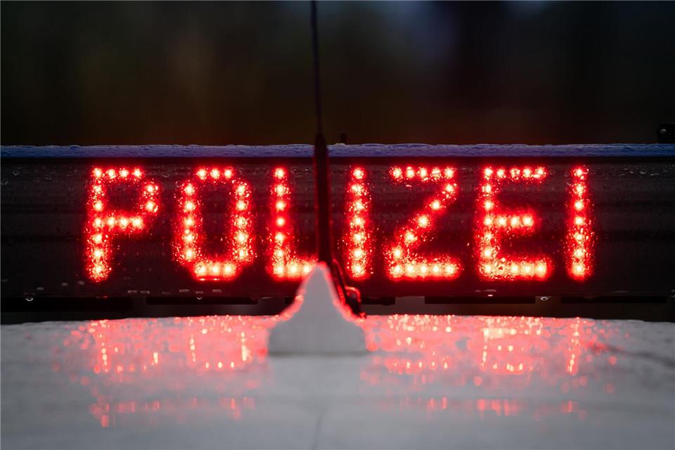 Streifen der Frankfurter Polizei sperrten die vielbefahrene Ludwig-Landmann-Straße (Symbolbild).Soeren Stache/dpa