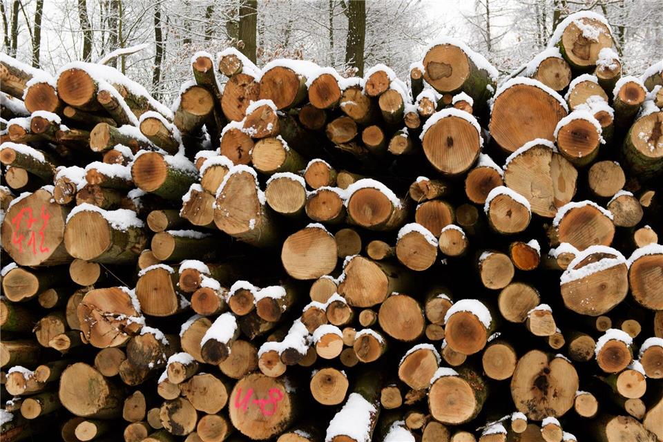 Streit um Vermarktung von Holz geht weiter (Symbolbild)picture alliance / dpa