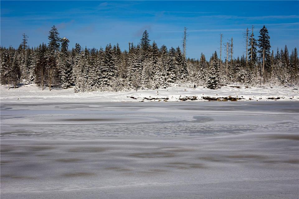 Strengstens verboten: Die Harzwasserwerke warnen davor, vereiste Teiche und Talsperren im Harz zu betreten. (Archivbild)Moritz Frankenberg/dpa