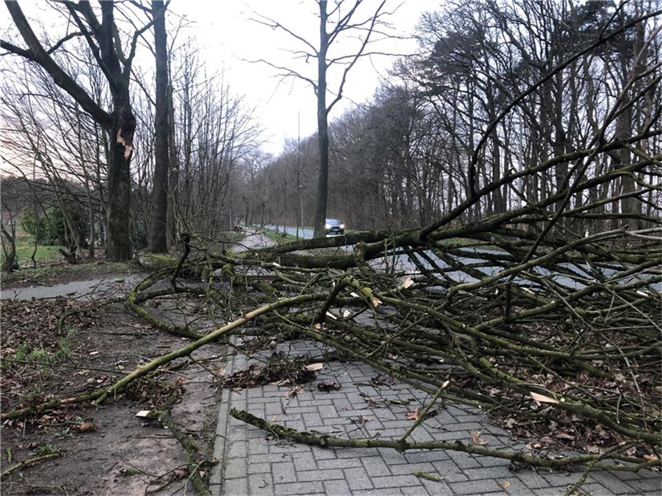 Sturm