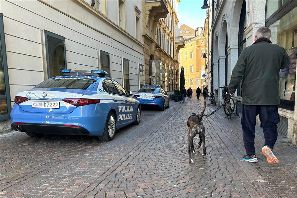 Südtirol verzichtet nun doch auf eine Art Hunde-Kurtaxe. (Archivbild)Christoph Sator/dpa