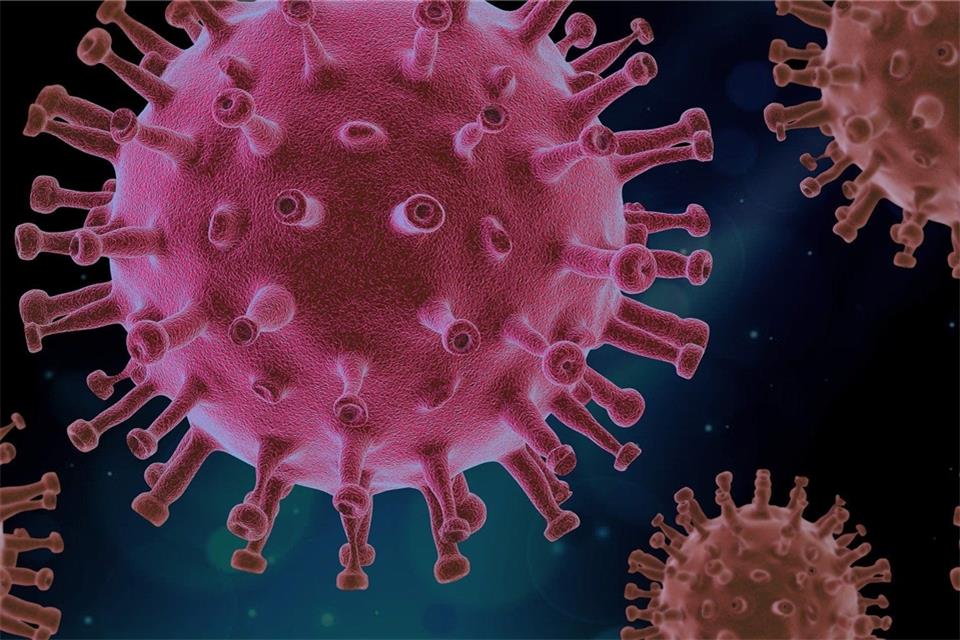 Ist nicht der Mensch das Virus? +++Symbolbild+++