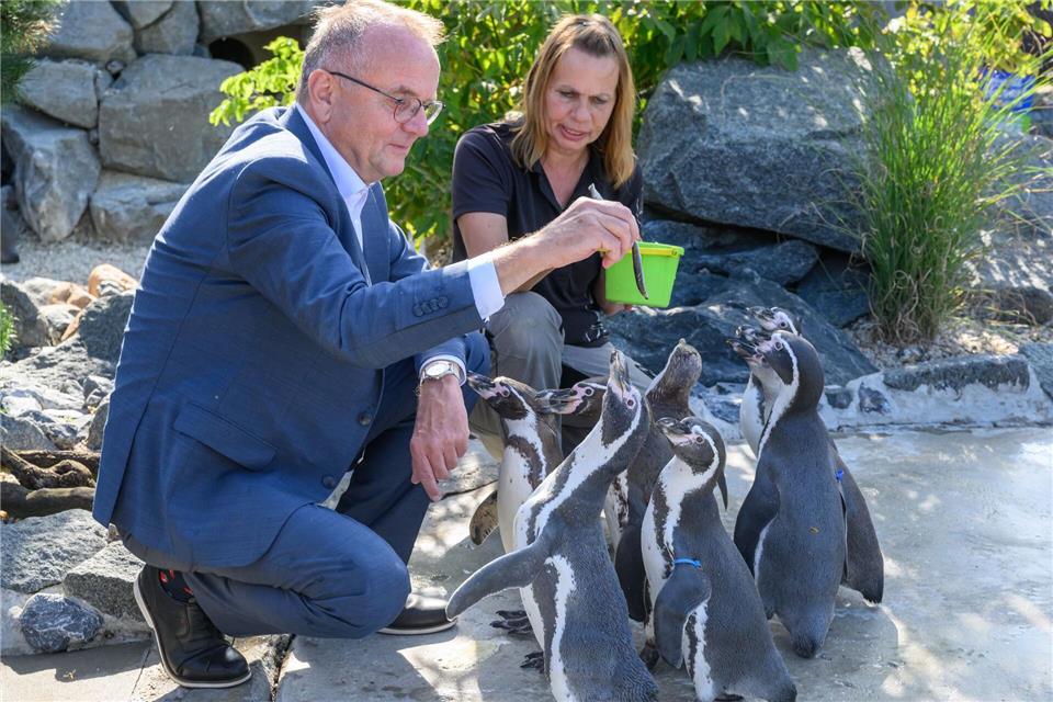 Tabbert war am Dienstag beim Paten-Pinguin des Verkehrsministeriums zu Besuch.Patrick Pleul/dpa