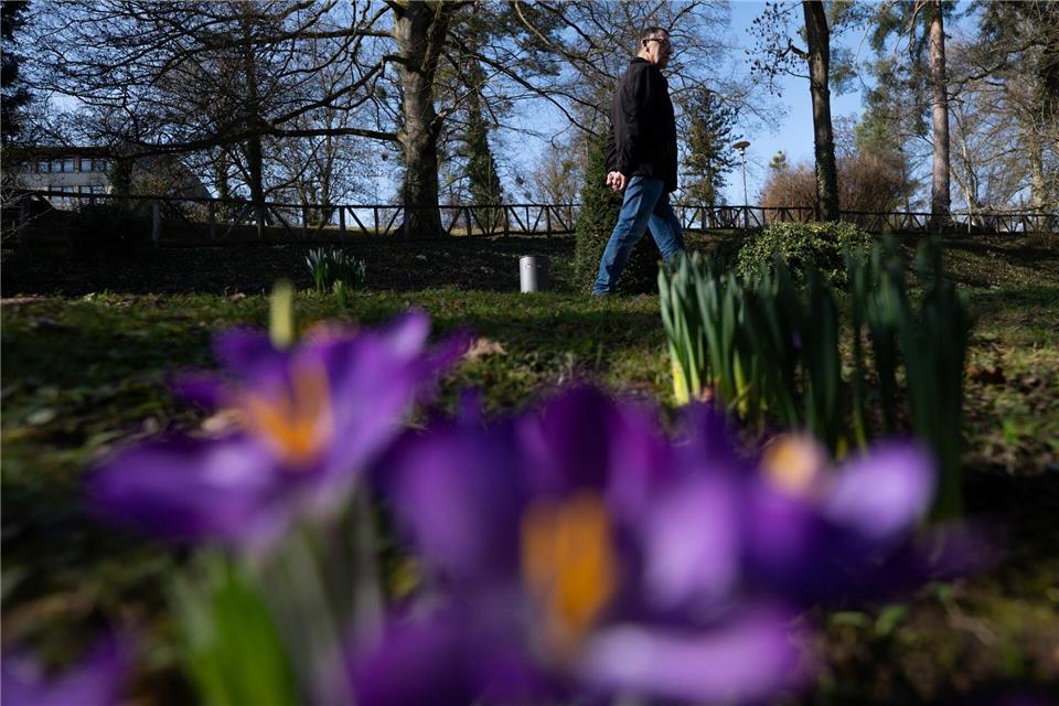 Tagsüber bleibt es in Hessen mild und sonnig, nachts drohen Frost und Nebel. (Archivbild)Florian Wiegand/dpa