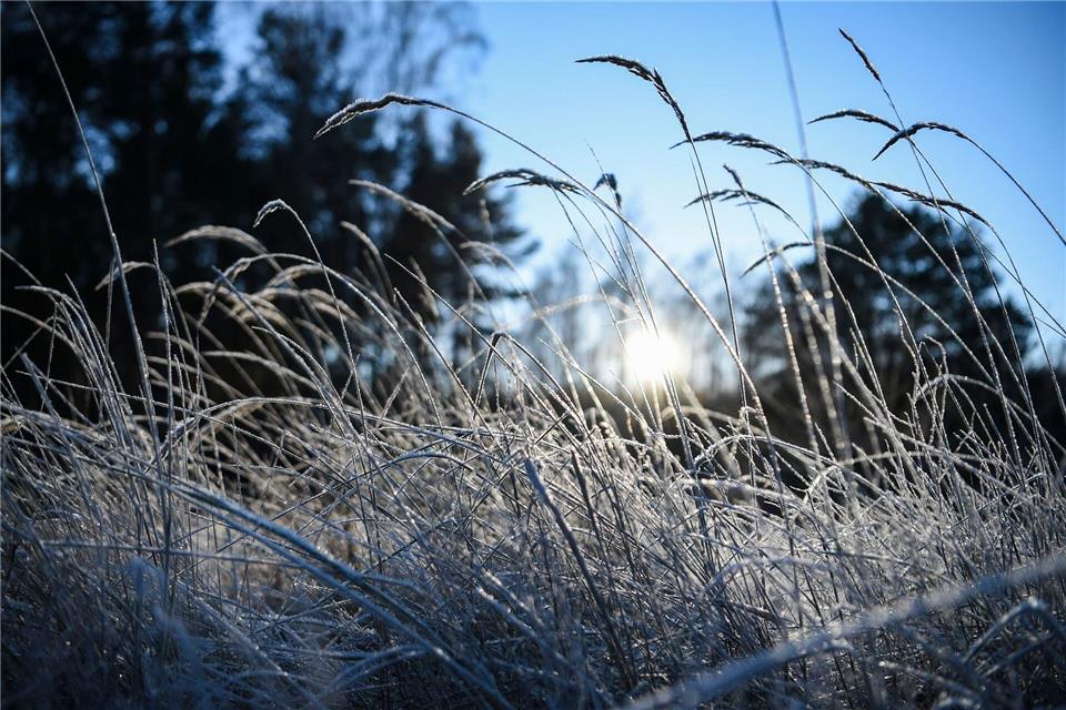 Tagsüber erwartet der DWD milde Temperaturen - in der Nacht Nebel und Frost. (Symbolbild)Kira Hofmann/dpa