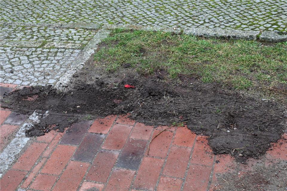 Tatort in Rostock: Hier wurde eine Frau aus Syrien von einem unbekannten Mann schwer verletzt. (Archivbild)Bernd Wüstneck/dpa