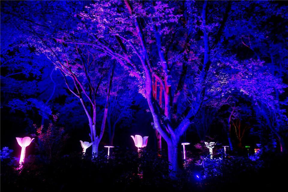 Tausende LED-Lichter wurden im Park installiert.Hauke-Christian Dittrich/dpa