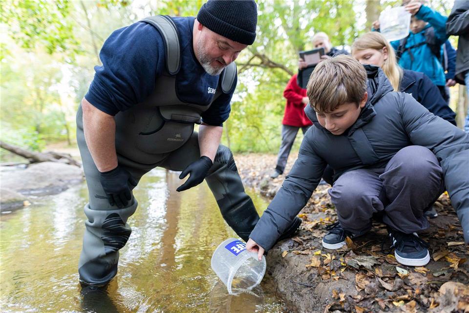 Tausende Lachse werden von Schülern in Hannover ausgwildert.Michael Matthey/dpa