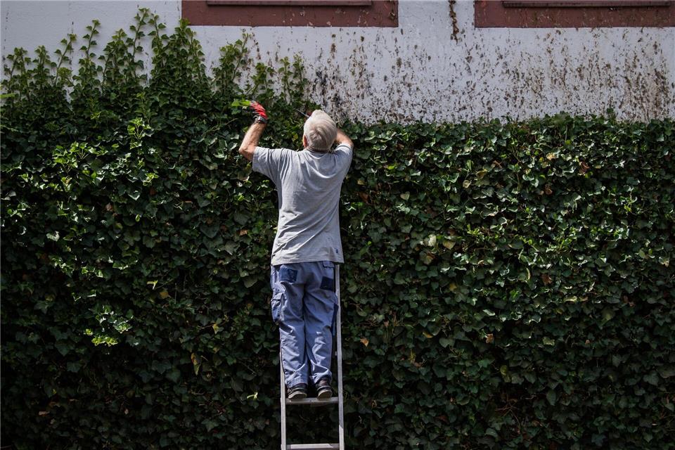 Tausende Mal haben Streitigkeiten unter baden-württembergischen Nachbarn im vergangenen Jahr Opfer gefordert. (Symbolbild)Andreas Arnold/dpa
