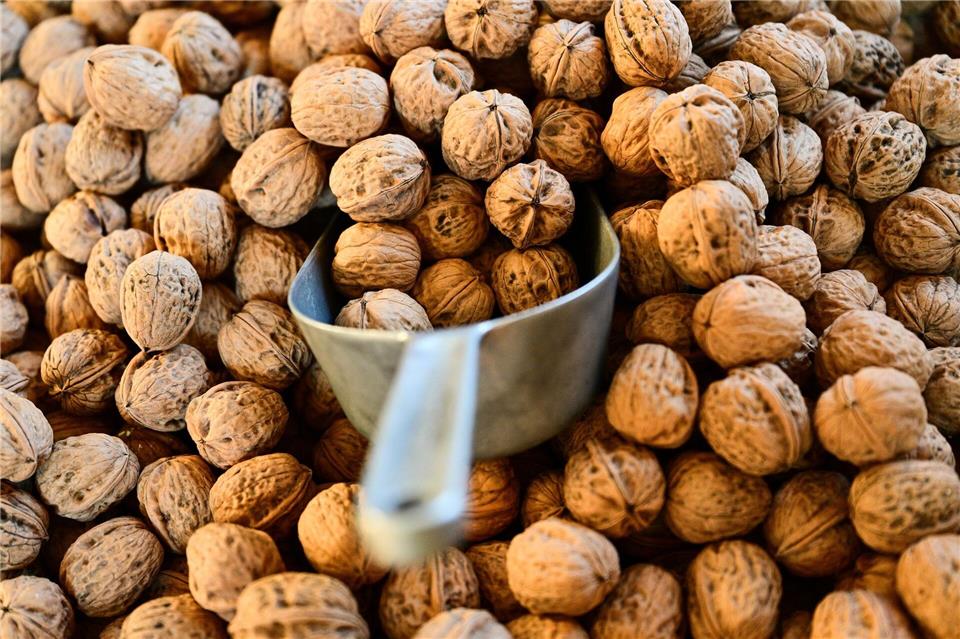 Tausende Tonnen Nüsse werden jedes Jahr nach Hamburg importiert. (Archivbild)Sebastian Gollnow/dpa