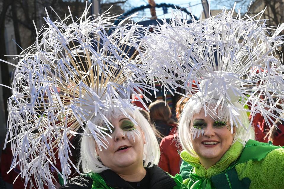 Tausende haben am Montag den Karneval mitgefeiert.Heiko Rebsch/dpa