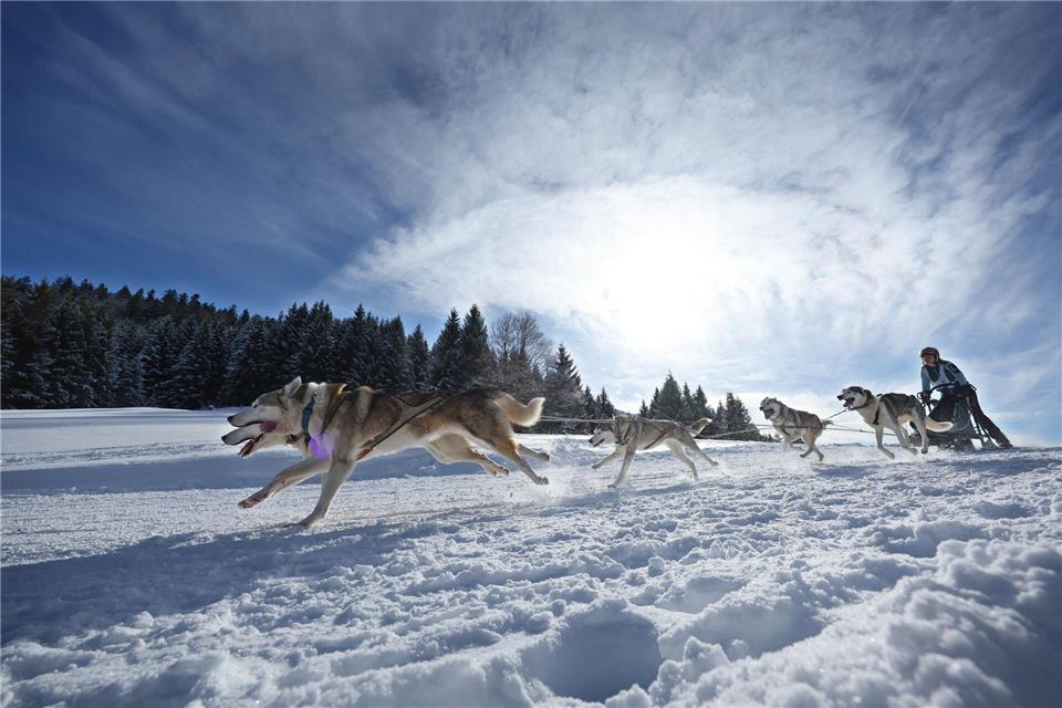 Teams aus etlichen Ländern in Europas gingen im bayerisch-österreichischen Grenzgebiet an den Start.Karl-Josef Hildenbrand/dpa