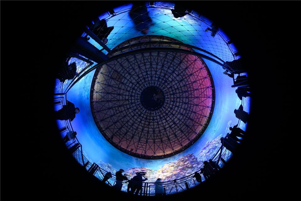 Teilnehmer des Presserundgangs betrachten das Panorama „Great Barrier Reef“ von Yadegar Asisi im im Panometer Dresden, einem ehemaligen Gasometer.Robert Michael/dpa