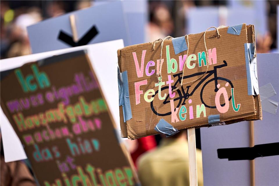 Teilnehmer halten selbstgebaute Schilder hoch auf der Demonstration „Erneuerbare Energien verteidigen“ im Invalidenpark.Michael Ukas/dpa