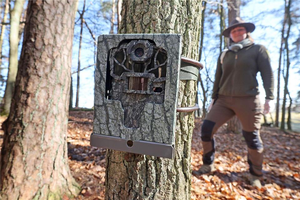 Teils macht Rangerin Sarah Lemke auch amüsanten Beifang mit ihrer Fotofalle.Bernd Wüstneck/dpa