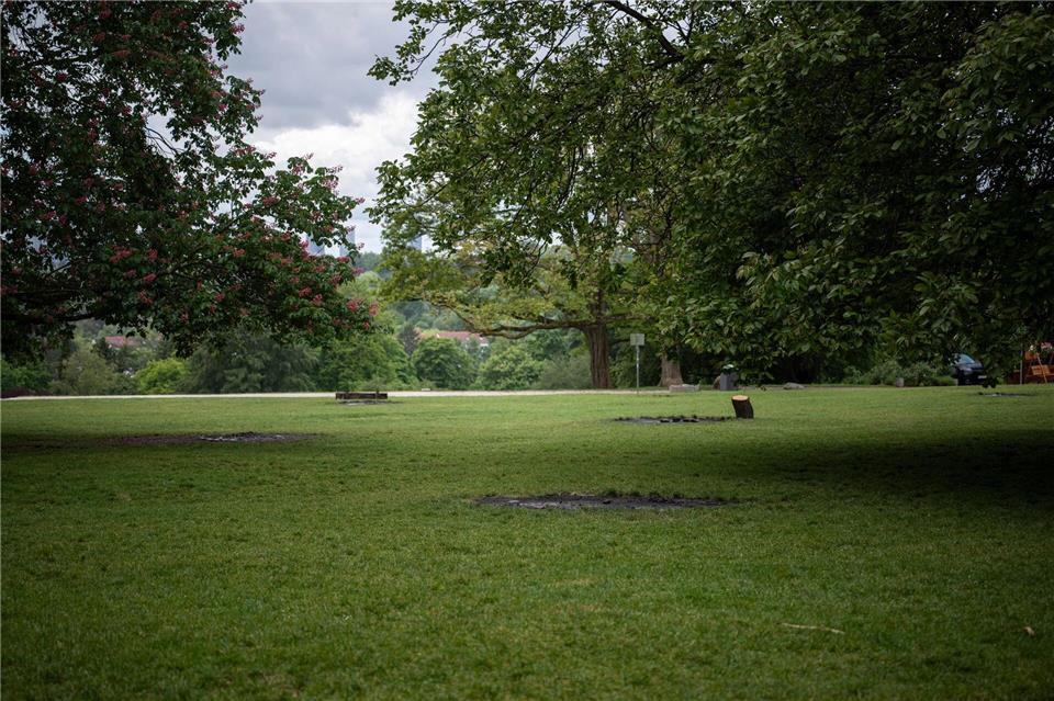 Teils stark bewölkt und mit Regen präsentiert sich das Wetter.  (Archivbild)Hannes P. Albert/dpa