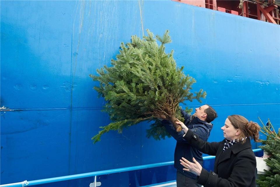 Teilweise werden die Tannenbäume per Kran an Bord der Schiffe gezogen.Georg Wendt/dpa