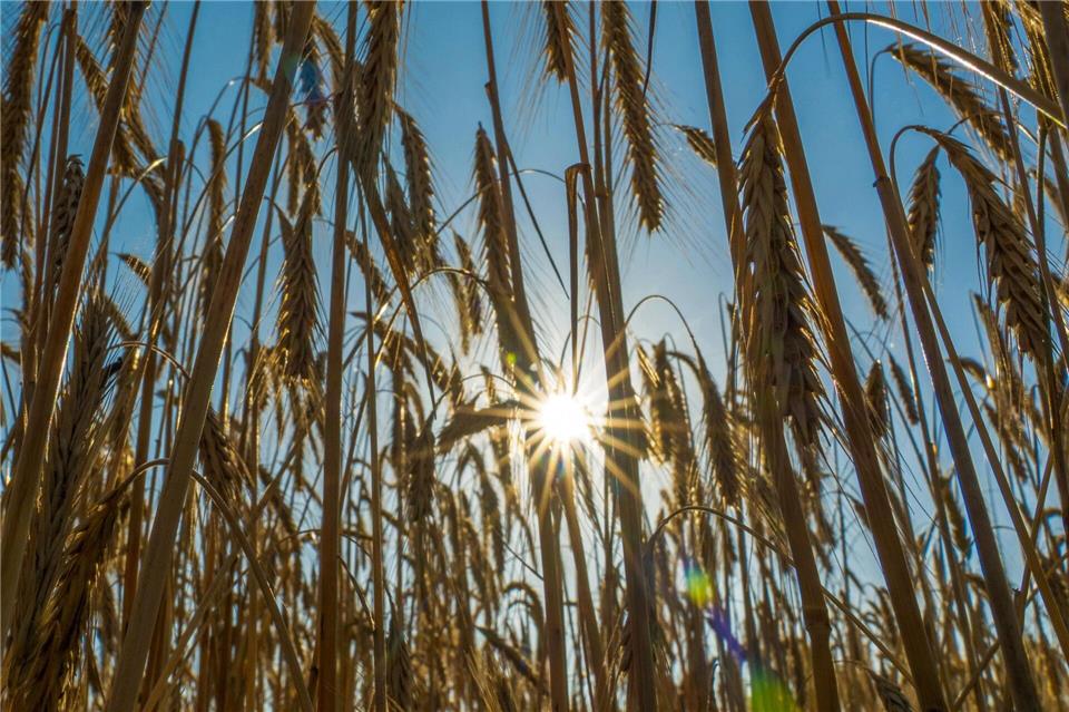 Temperaturen bis zu 29 Grad sind möglich.Georg-Friedrich Moritz/dpa