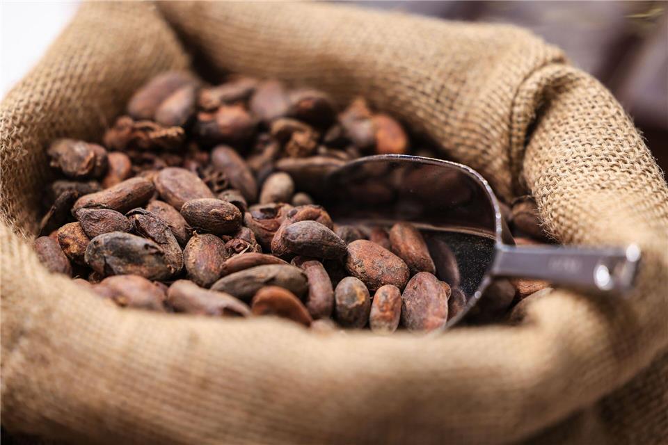 Teure Kakao-Importe sorgen für hohe Schokoladenpreise.Oliver Berg/dpa